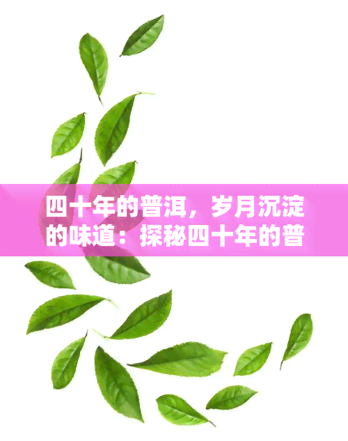 四十年的普洱，岁月沉淀的味道：探秘四十年的普洱茶之旅