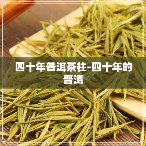 四十年普洱茶柱-四十年的普洱