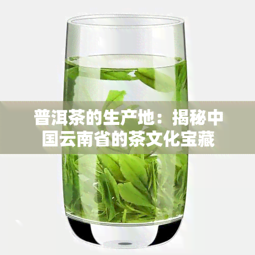 普洱茶的生产地：揭秘中国云南省的茶文化宝藏