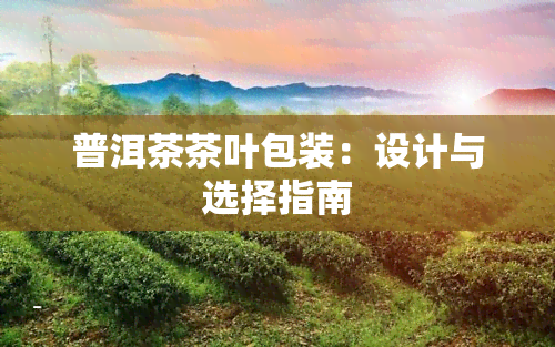 普洱茶茶叶包装：设计与选择指南