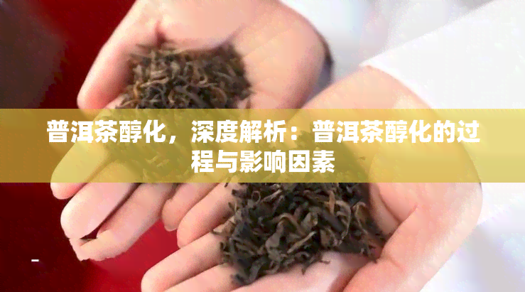 普洱茶醇化，深度解析：普洱茶醇化的过程与影响因素