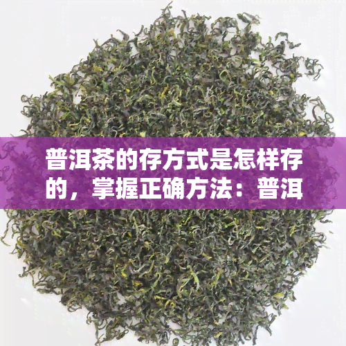 普洱茶的存方式是怎样存的，掌握正确方法：普洱茶的存方式全解析