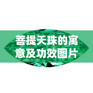 菩提天珠的寓意及功效图片大全，探索神秘力量：菩提天珠的寓意与功效全解！