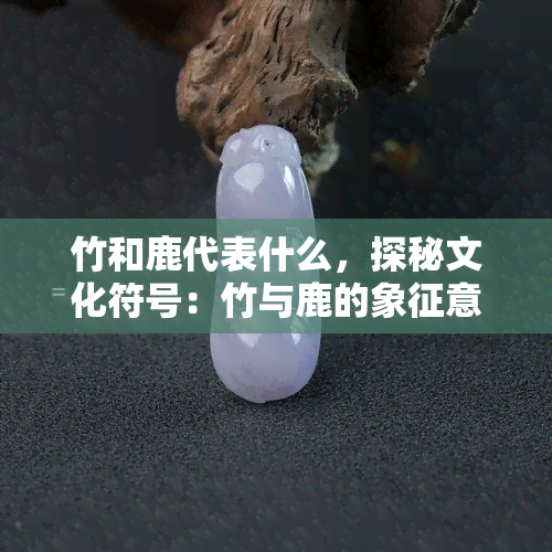 竹和鹿代表什么，探秘文化符号：竹与鹿的象征意义