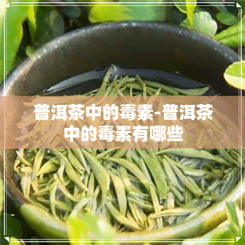 普洱茶中的素-普洱茶中的素有哪些