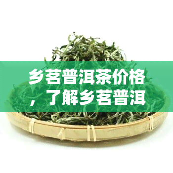 乡茗普洱茶价格，了解乡茗普洱茶价格，品味地道云南茶叶