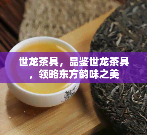 世龙茶具，品鉴世龙茶具，领略东方韵味之美