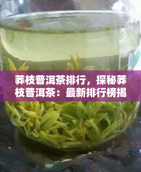 莽枝普洱茶排行，探秘莽枝普洱茶：最新排行榜揭晓！