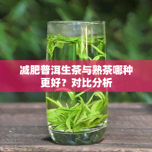 减肥普洱生茶与熟茶哪种更好？对比分析