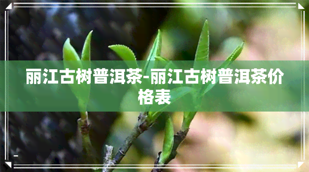 丽江古树普洱茶-丽江古树普洱茶价格表