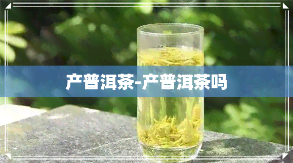 产普洱茶-产普洱茶吗