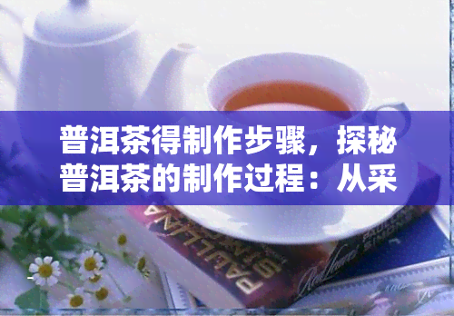 普洱茶得制作步骤，探秘普洱茶的制作过程：从采摘到烘焙的每一个步骤