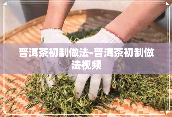 普洱茶初制做法-普洱茶初制做法视频