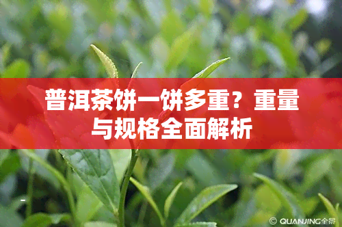 普洱茶饼一饼多重？重量与规格全面解析