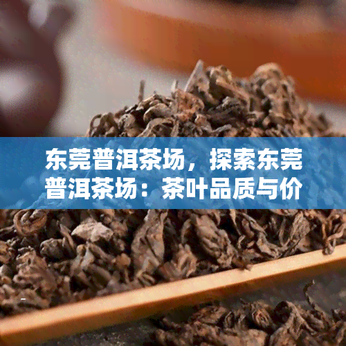 东莞普洱茶场，探索东莞普洱茶场：茶叶品质与价格全解析