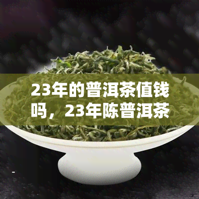 23年的普洱茶值钱吗，23年陈普洱茶：是否值得收藏与投资？