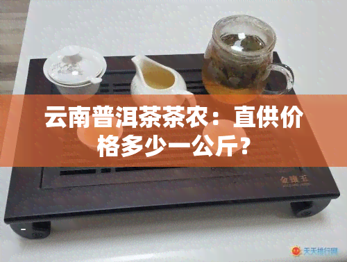 云南普洱茶茶农：直供价格多少一公斤？