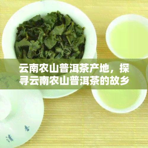 云南农山普洱茶产地，探寻云南农山普洱茶的故乡——揭秘其独特的产地优势