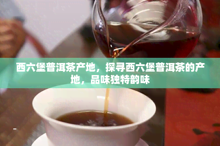 西六堡普洱茶产地，探寻西六堡普洱茶的产地，品味独特韵味