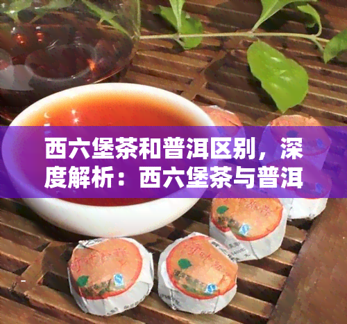 西六堡茶和普洱区别，深度解析：西六堡茶与普洱茶的五大区别