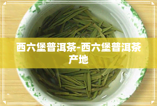 西六堡普洱茶-西六堡普洱茶产地