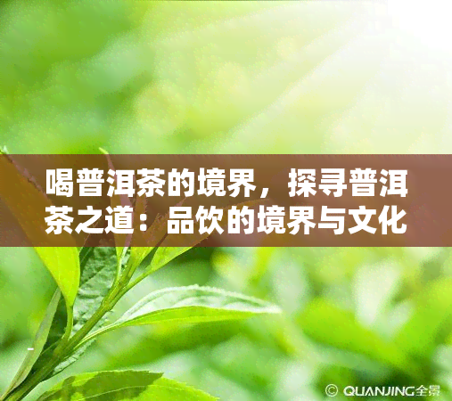 喝普洱茶的境界，探寻普洱茶之道：品饮的境界与文化内涵