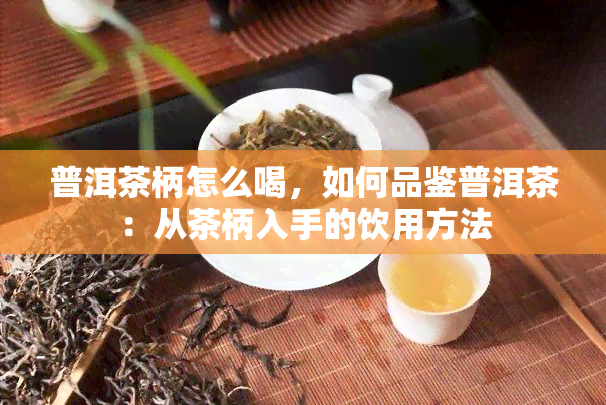 普洱茶柄怎么喝，如何品鉴普洱茶：从茶柄入手的饮用方法