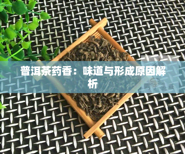 普洱茶香：味道与形成原因解析