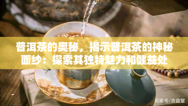 普洱茶的奥秘，揭示普洱茶的神秘面纱：探索其独特魅力和健益处