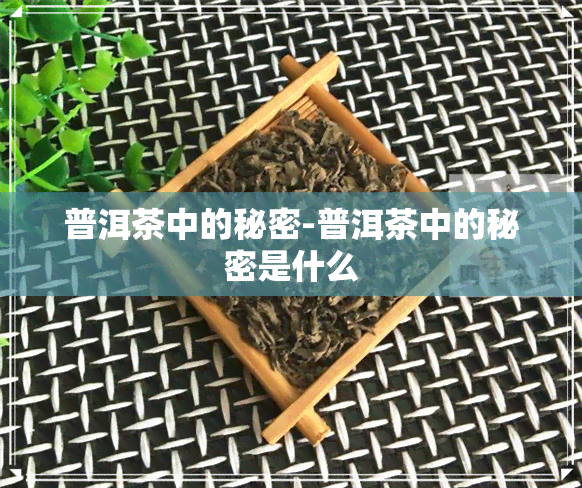 普洱茶中的秘密-普洱茶中的秘密是什么