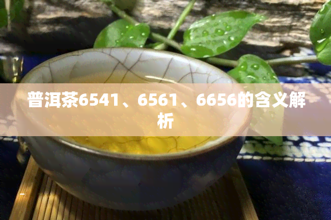 普洱茶6541、6561、6656的含义解析