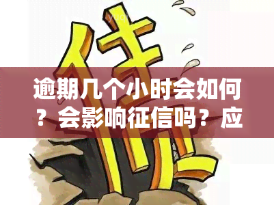 逾期几个小时会如何？会影响吗？应该如何处理？