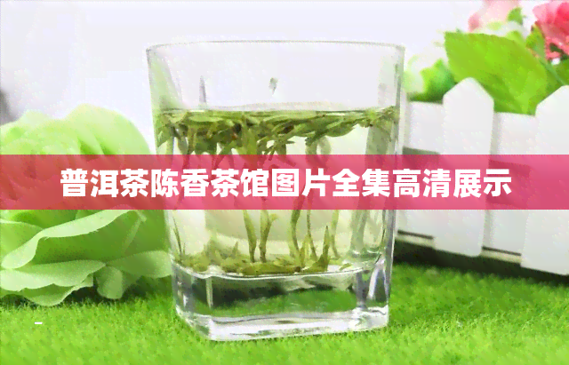 普洱茶陈香茶馆图片全集高清展示