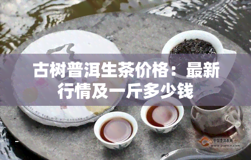 古树普洱生茶价格：最新行情及一斤多少钱