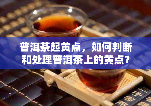 普洱茶起黄点，如何判断和处理普洱茶上的黄点？