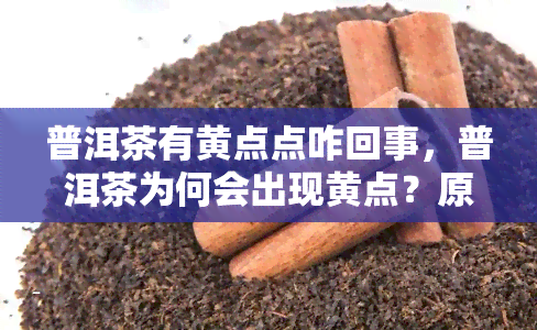 普洱茶有黄点点咋回事，普洱茶为何会出现黄点？原因解析