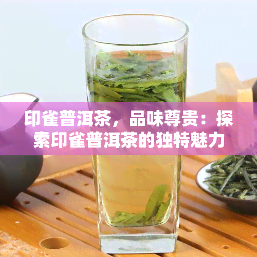 印雀普洱茶，品味尊贵：探索印雀普洱茶的独特魅力