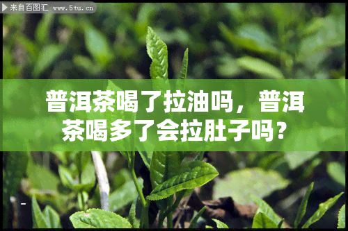 普洱茶喝了拉油吗，普洱茶喝多了会拉肚子吗？