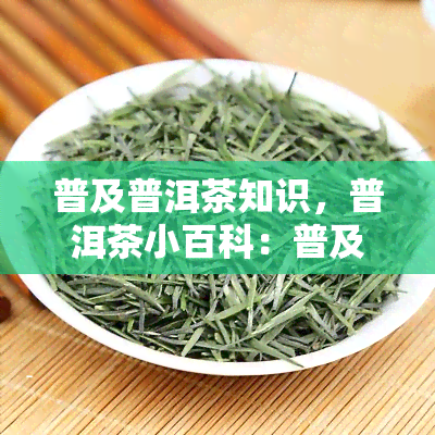 普及普洱茶知识，普洱茶小百科：普及普洱茶知识，带你了解这一独特饮品