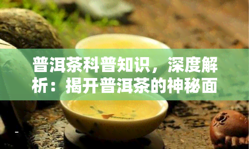 普洱茶科普知识，深度解析：揭开普洱茶的神秘面纱——科普知识大揭秘