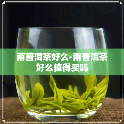 南普洱茶好么-南普洱茶好么值得买吗