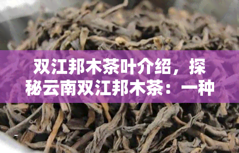 双江邦木茶叶介绍，探秘云南双江邦木茶：一种独特而珍贵的茶叶品种