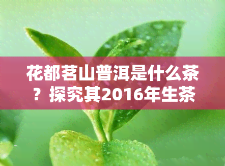 花都茗山普洱是什么茶？探究其2016年生茶价格与花都茗都店的关系