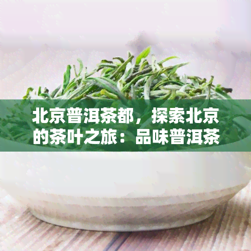 北京普洱茶都，探索北京的茶叶之旅：品味普洱茶都的独特魅力