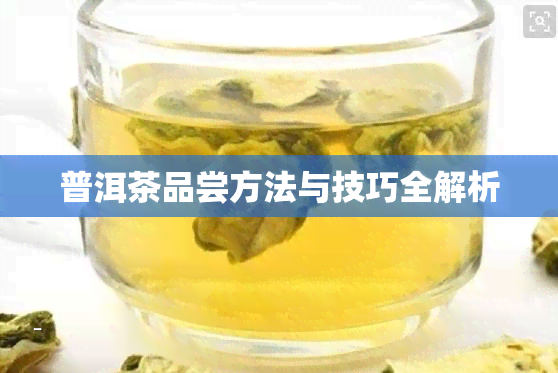 普洱茶品尝方法与技巧全解析