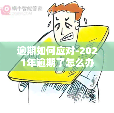 逾期如何应对-2021年逾期了怎么办