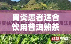 胃炎患者适合饮用普洱熟茶还是生茶？全解析！