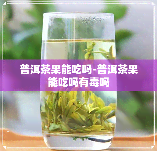 普洱茶果能吃吗-普洱茶果能吃吗有吗