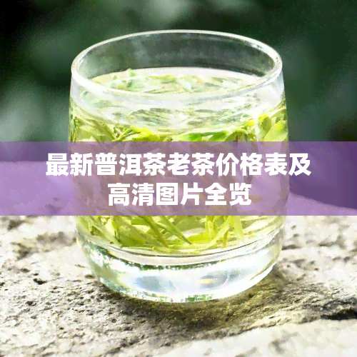 最新普洱茶老茶价格表及高清图片全览