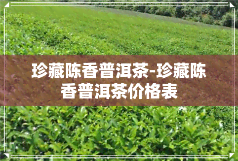 珍藏陈香普洱茶-珍藏陈香普洱茶价格表